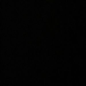 Meet your Posher, Donkeisha